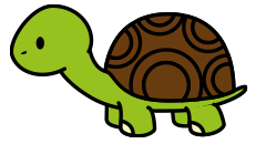 turtle